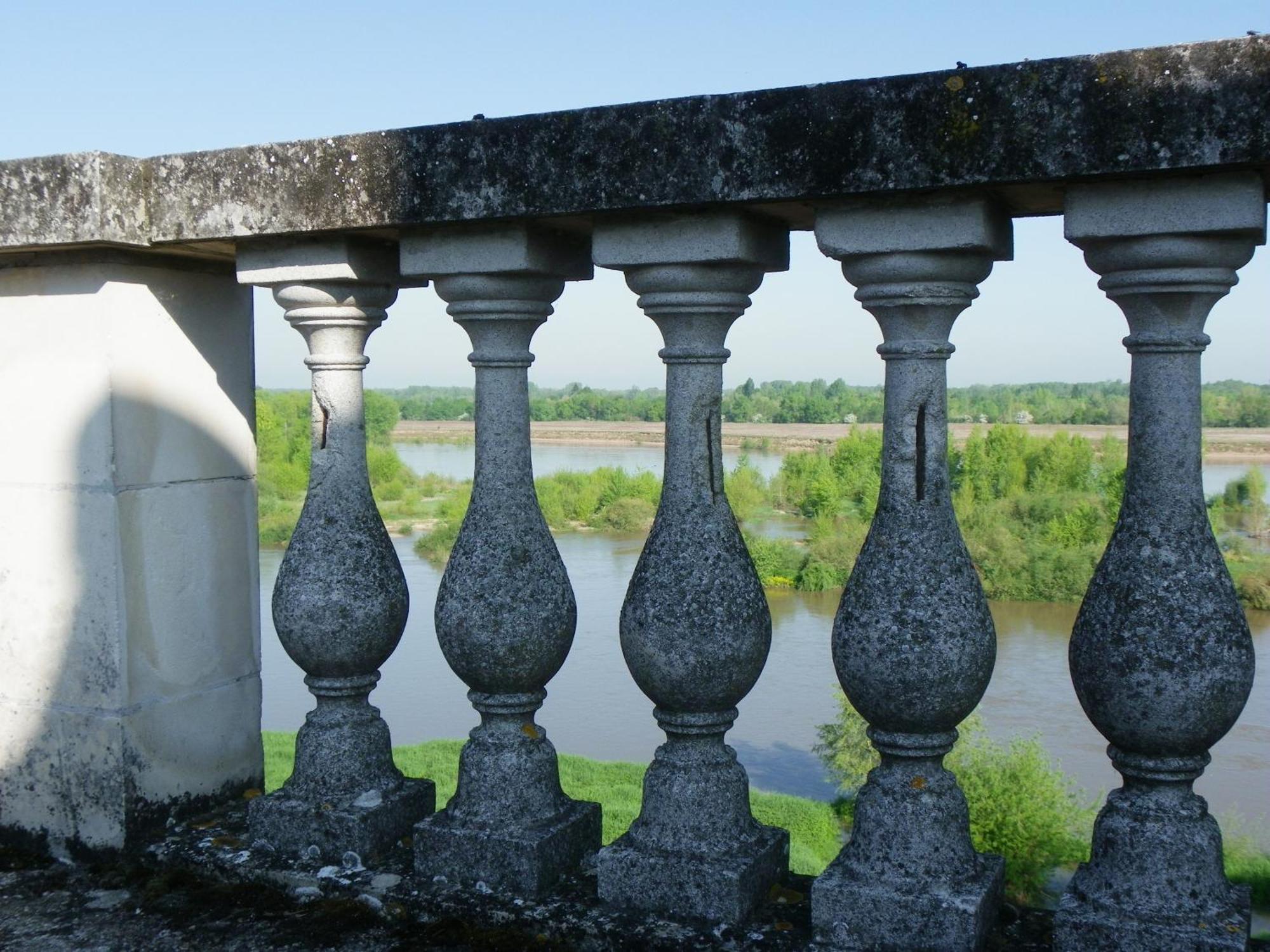 Muides-sur-Loire 샤토 드 콜리어스 B&B 객실 사진